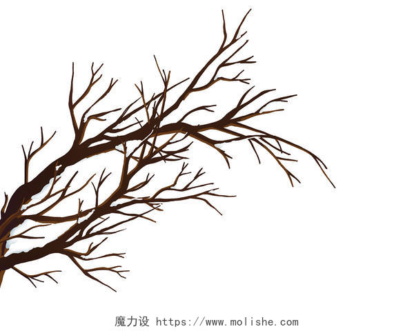 彩色卡通手绘冬天冬季树干植物树枝元素PNG素材